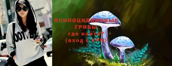ECSTASY Пересвет