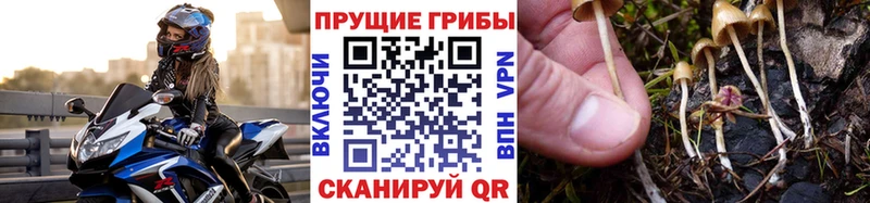 МЕГА ссылки  Очёр  Галлюциногенные грибы MAGIC MUSHROOMS 